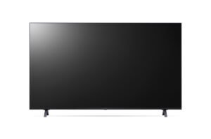 Proffesioal 65" Display