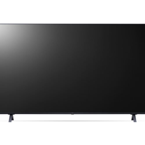 Proffesioal 65" Display